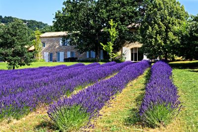Emile Garcin Luberon